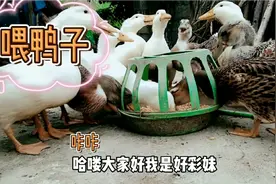 生孩子后居然暴瘦20几斤，去医院检查了没有事，有没有一样的❓视频封面