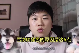 宠物毛发褪色变浅的原因是这6点，看看你家属于哪一条。视频封面
