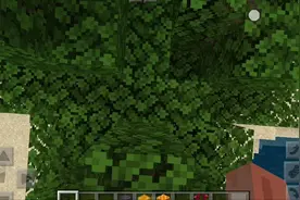 我的世界1.16最新版本透露