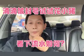 滴滴被封号，被逼无奈跑了半天花小猪看下到底和滴滴有多大差别！