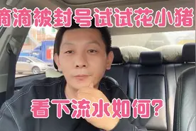 滴滴被封号，被逼无奈跑了半天花小猪看下到底和滴滴有多大差别！