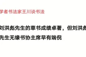 学者王川谈刘洪彪先生无缘书协主席，早有端倪视频封面