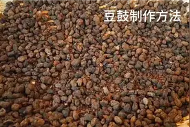 豆鼓制作方法，冬天远见在家制作豆鼓保存酱肉吃视频封面