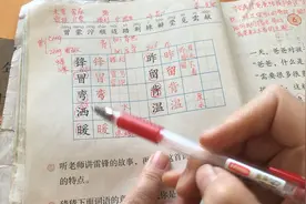 二年级语文下册雷锋叔叔你在哪里，提前预习不能少视频封面