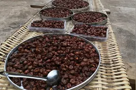 这样晒出来的李子干，超级好吃。吃一个就停不下来