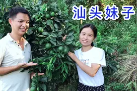 江西小伙娶到汕头妹，老婆终于说出实情为何嫁这边，听听怎么说视频封面