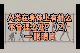 进化过程中，人类身上有哪些不合理之处？（2）视频封面