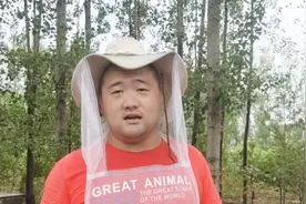 养蜂行业赚钱么？农村大哥说出真实收入，是实话么