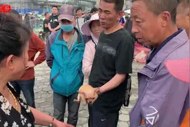 超可爱小吉娃娃，狗主要价1000元，结果差点被人抢走。下集视频封面