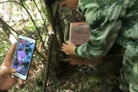 一年一次收割这个诱蜂箱，每年都可以过来收蜜视频封面