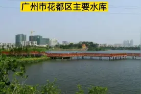 广州市花都区主要水库视频封面