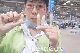 长条西洋参和西洋参粒头到底有什么区分，营养价值一样吗？视频封面