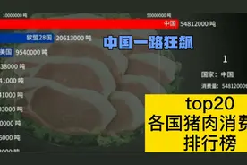 [数据可视化]各国猪肉消费量排行榜，还记得那根红柱子吗视频封面