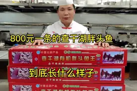 一条16斤的胖头鱼卖到800元，大厨分享查干湖胖头鱼的开箱视频