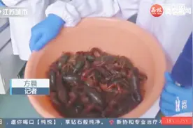 网传小龙虾感染肺吸虫？记者实验，血吸虫病专家公布意外结果！视频封面