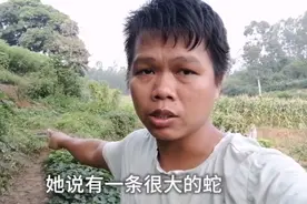 老妈去摘菜看到有蛇横拦在路上，小伙接了电话赶过去，可惜蛇跑了视频封面