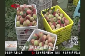 泸州古蔺：颐红香桃变身“网红”桃，桃园变身“直播场地”促销售视频封面