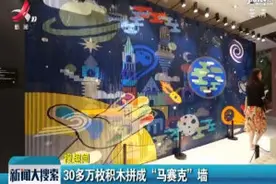 上海：30多万积木拼成“马赛克”墙视频封面