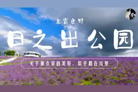 北海道|上富良野町 日之出公园-关于薰衣草的美好,仿佛在这里。视频封面
