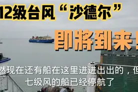 下午三点起琼州海峡渡轮全线停航！进出海南岛的朋友要抓紧时间！视频封面