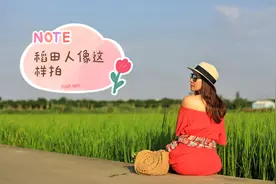 稻田人像这样拍，简单的摆姿，70后美女秒变大模