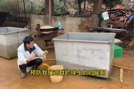 死亡率高达80%的球虫病，怎么治疗呢老养殖户分享用药方案，视频封面