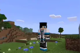 我的世界如果传送到tp999999999999会到吗（2）