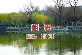 《相思》叶凡经典绝版，最怕你寂寞最怕你孤单，唱出了恋人相思苦视频封面