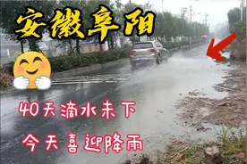 安徽阜阳秋收以来滴雨未下，今夜喜迎降雨，小麦丰收有望啦视频封面