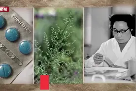 依然抗疟首选，直指红斑狼疮！屠哟哟团队解开青蒿素更多秘密视频封面