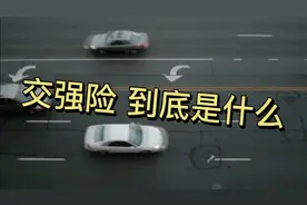 交强险，到底是什么。你保对了吗？视频封面