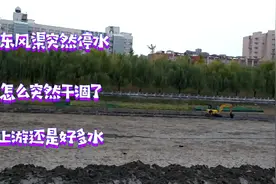 昔日钓鱼圣地突然停水河道干涸，今天来看看究竟在搞什么事情视频封面