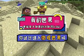 我的世界：倒立行走的村民你见过吗，只要这样做就可以简单他们啦