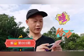 03期双色球一注有两组连号，号码组合很看好，我想会有大惊喜的！视频封面