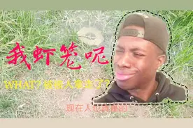 放了3天的虾笼被别人拿走了，小伙儿空手而归！很生气！视频封面