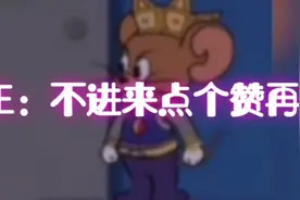 猫和老虎精彩对决视频封面