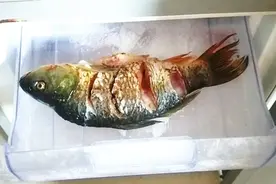 鱼冷冻到冰箱到底能保存多久？快回家扔掉吧，别不当个事视频封面
