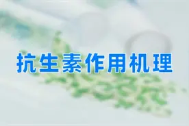 抗生素作用机理