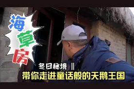 北京自驾山东攻略，传说中的冬日秘境，童话般的天鹅王国。