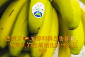 🇪🇸加那利群岛香蕉🍌与南美芭蕉什么有区别视频封面