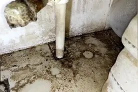 同小区的客户角阀漏水多天，终于换个3块塑料的，上门费30块视频封面