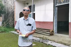 关于农村粮食补贴，一亩地有多少钱？看看66岁农民咋说视频封面