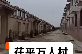 茌平合村并居 一户一小院视频封面