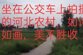 农村通公交车了，坐在车上，看看河北衡水的农村，一个字：美！视频封面