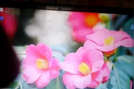 下载快吧游戏，有很多好玩的游戏在里面