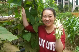 农村公婆挖田，儿媳摘豆子，煮饭，这就是真实的农村生活视频封面