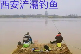 实拍西安浐灞钓鱼，公交地铁直达，老少皆宜真开心。视频封面