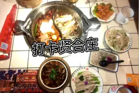 去商丘动物园，没咋看见几个动物，中午吃了陈赫的肥肠，辣的过瘾视频封面