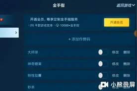 究极绿宝石小智版的金手指