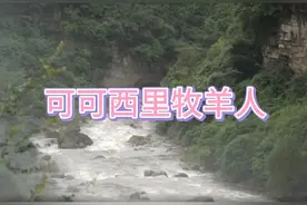 因为爱情故事，才了解到这首《可可西里牧羊人》，凄美动人。视频封面